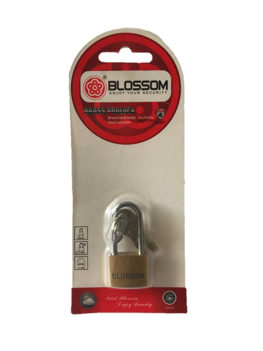 Thin shackle on sale padlock